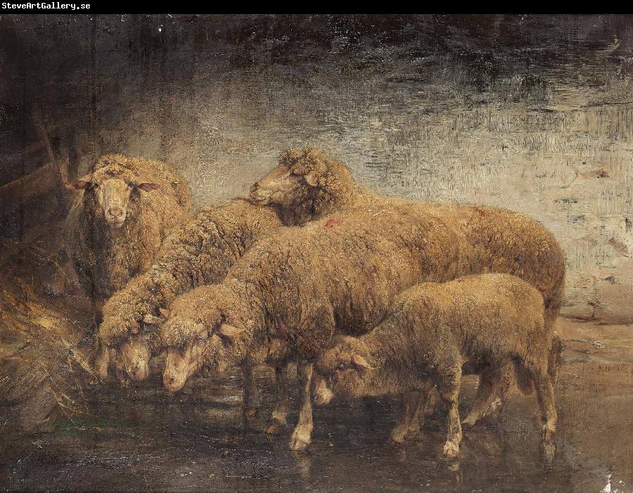 Heinrich von Angeli Sheep in a barn